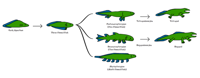 Hexapod cladogram.PNG