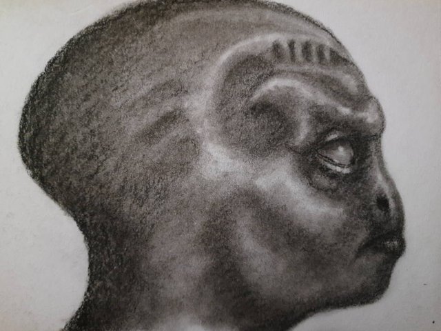 20250610_113559.jpg
