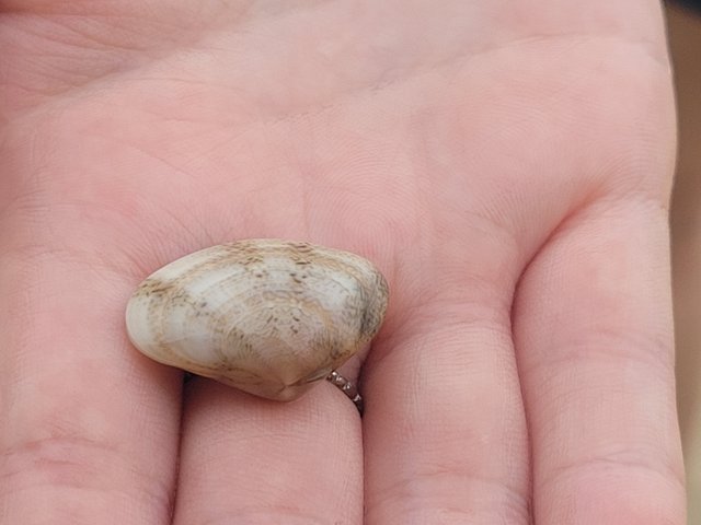 1000436760.jpg