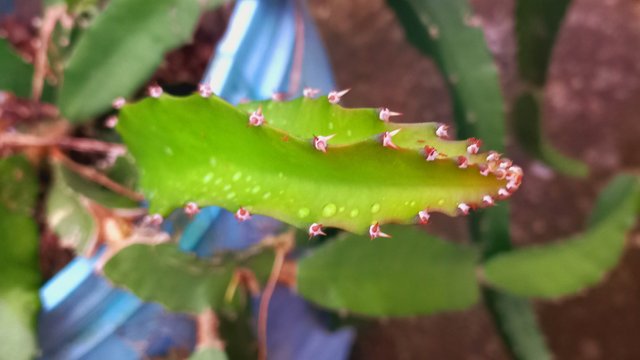 20250814_182022.jpg