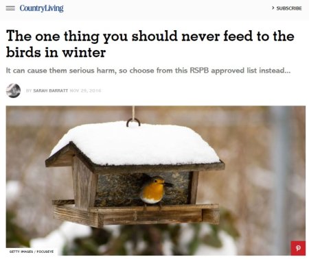 the one thing you should never feed birds.jpg