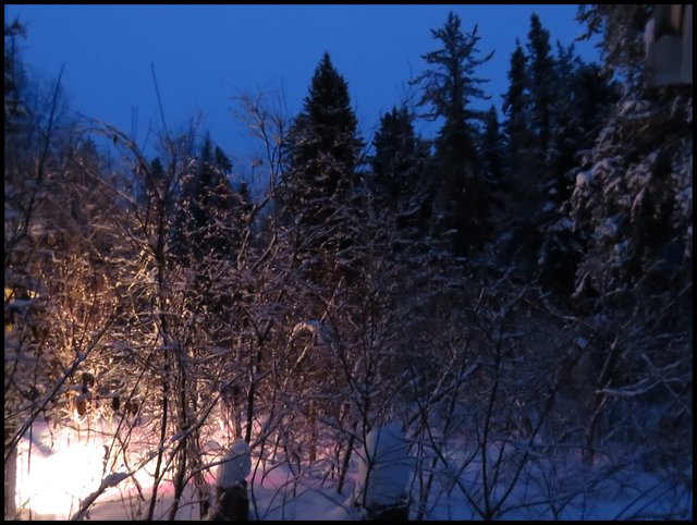 Long exposure early dawn blue sky tree silhouettes grow light shines pink and orange on snowy scene.JPG