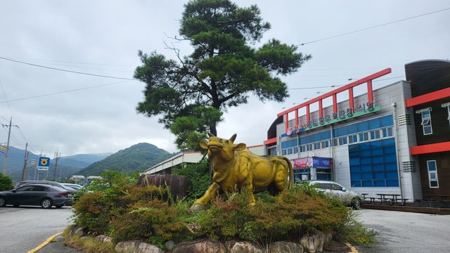 KakaoTalk_20251005_200833239_01.jpg