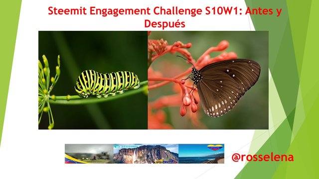 Steemit Engagement Challenge S10W1.jpg