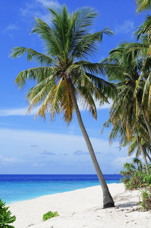 beach-2178747_1280.jpg