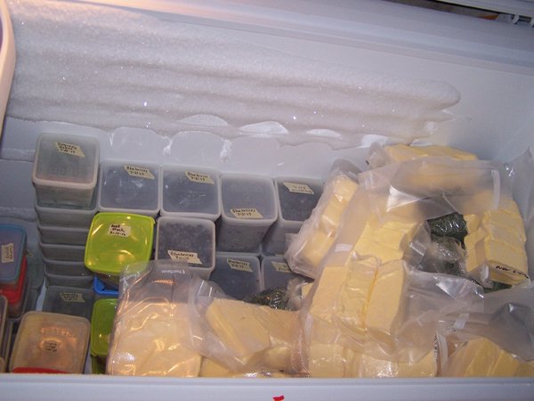 Freezer inventory1 crop June 2018.jpg