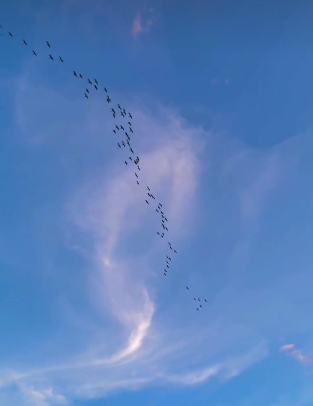 1749837021527.jpg