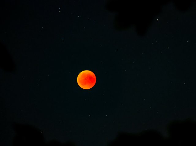 Bloody moon 4.jpg