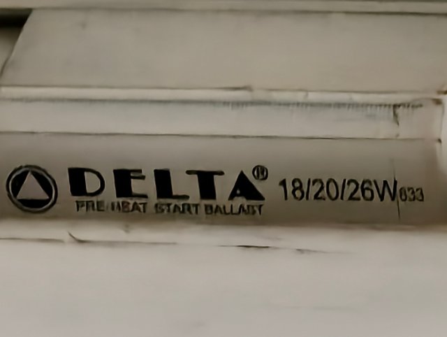 1000010082.jpg