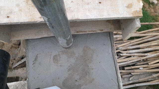 20250528_171842.jpg