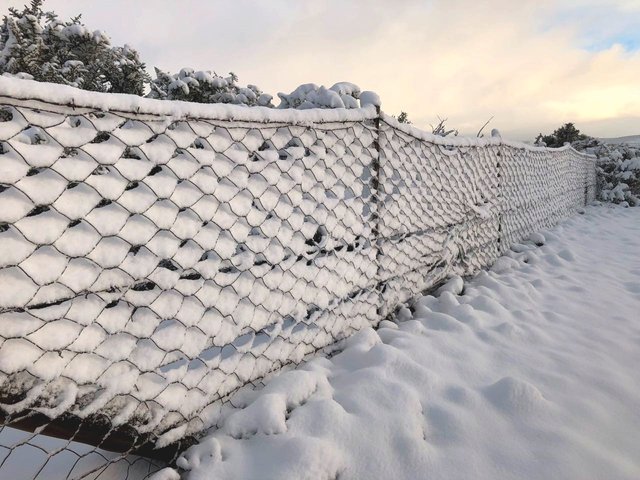 snowfence2.jpg