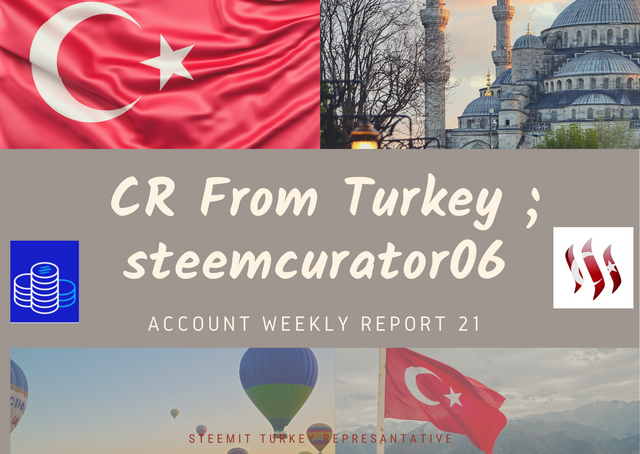 Second Weekly -steemcurator03 Turkey Curator Report.png