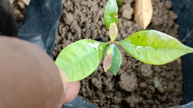 IMG_20250909_154802.jpg