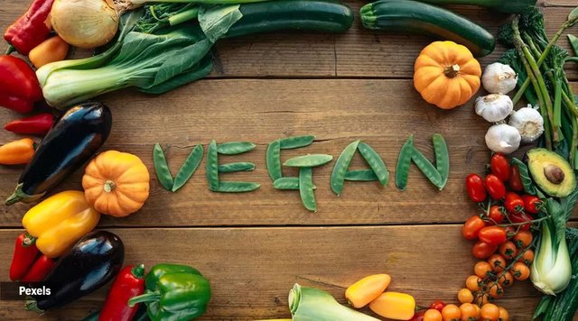 vegan for life wallpaper