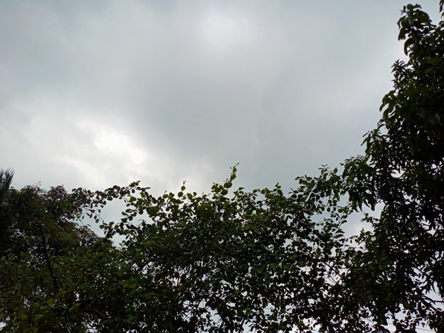 IMG20250930173140.jpg