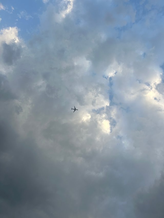IMG_3448.jpeg