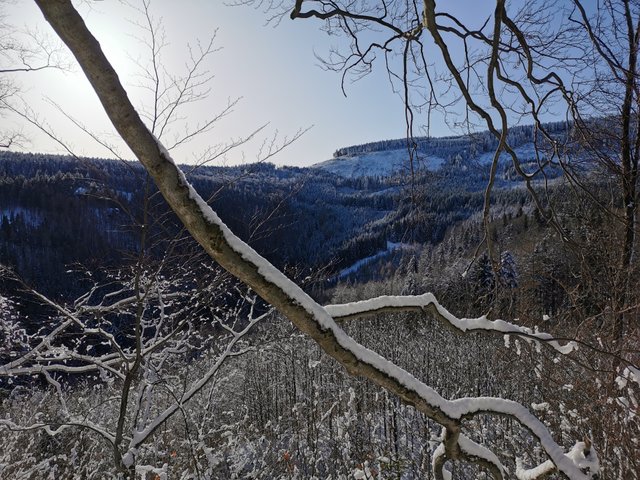 Hike #1: Zlaté Hory to Jeseník (Czechia)