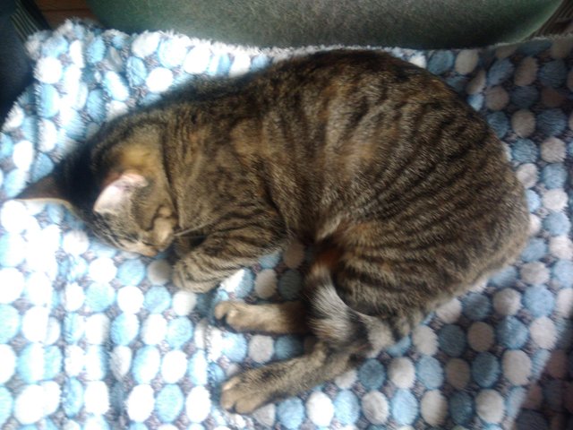 P_20210918_130540.jpg