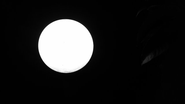 20250426_183237.jpg