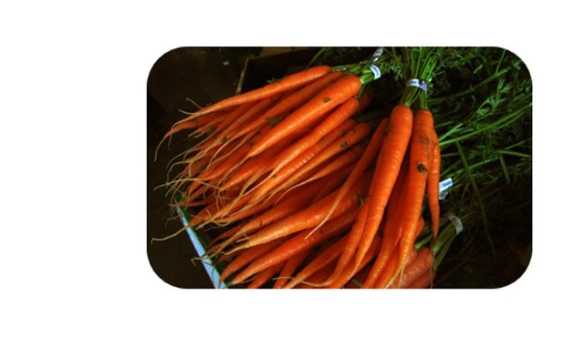 carrots.jpg