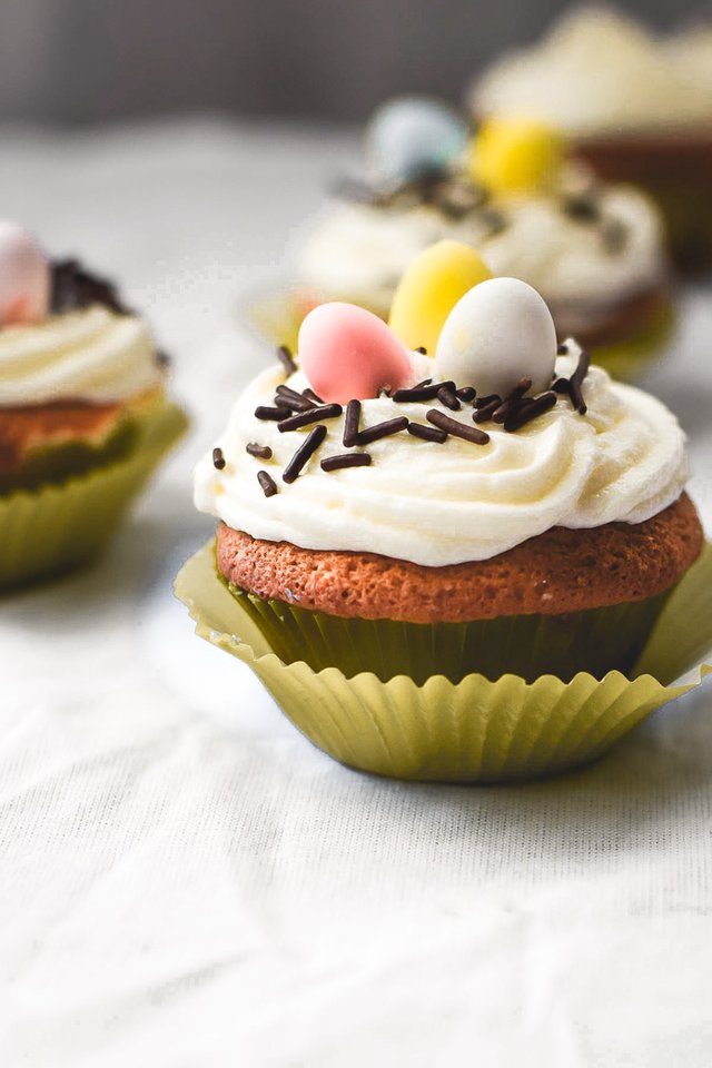 Almond Vanilla Bean Easter Nest Cupcakes-4.jpg