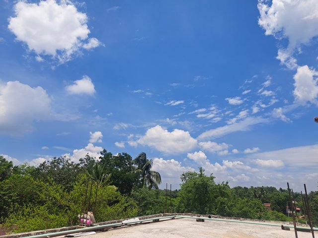 1000046264.jpg