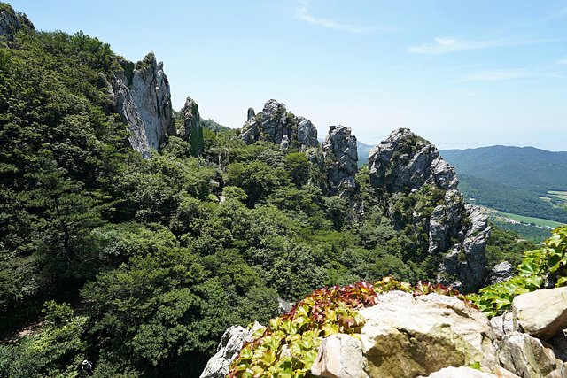 b-DSC08067.JPG
