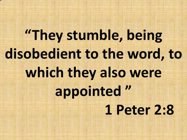 Growth in faith. They stumble, being disobedient to the word, to which they also were appointed. 1 Peter 2,8.jpg