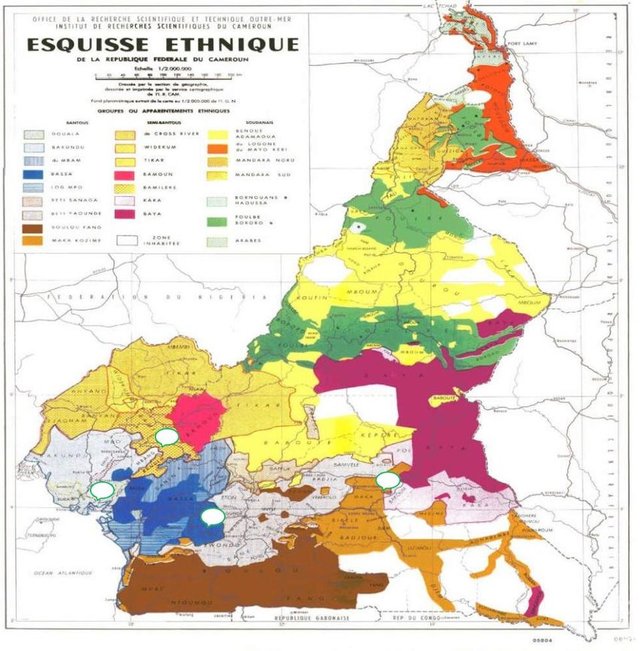 Map-representing-the-ethnic-groups-of-Cameroon-and-showing-the-main-study-areas-Source.png