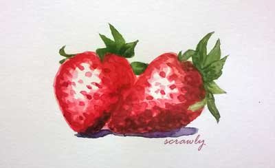Strawberries Study