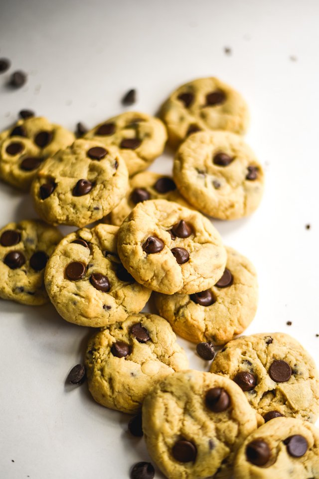 Sunbutter Chocolate Chip Cookies (V+GF)-3.jpg