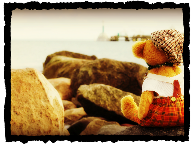 teddy-1814285_1920.png