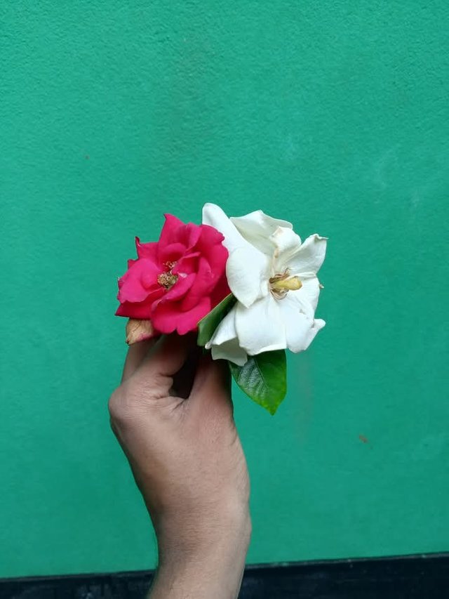 1000040091.jpg