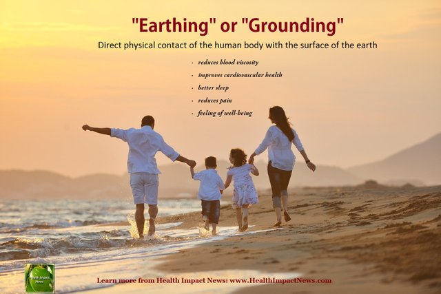 earthing-grounding1.jpg