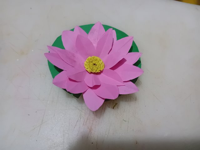 1000050995.jpg
