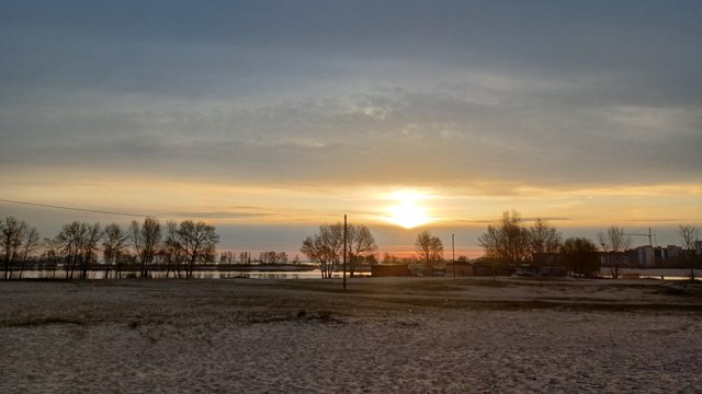 20250416_062659.jpg