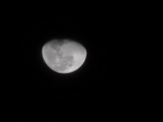 IMG_20241220_000631.jpg
