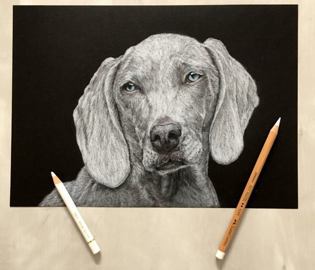 dog-drawing-with-white-pencil.jpg