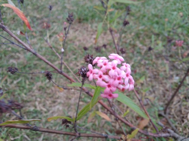 IMG_20250602_180655.jpg