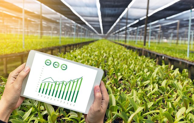 agriculture1.jpg