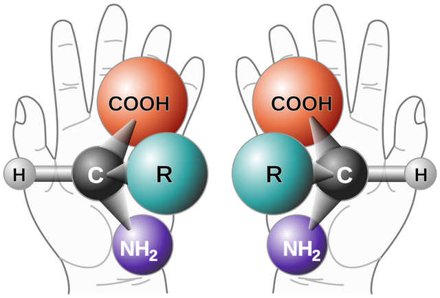 Chirality_with_hands.svg.png