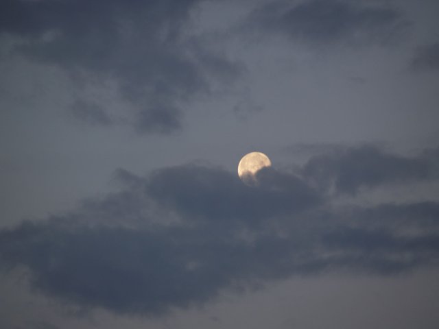 Luna e nuvole.JPG