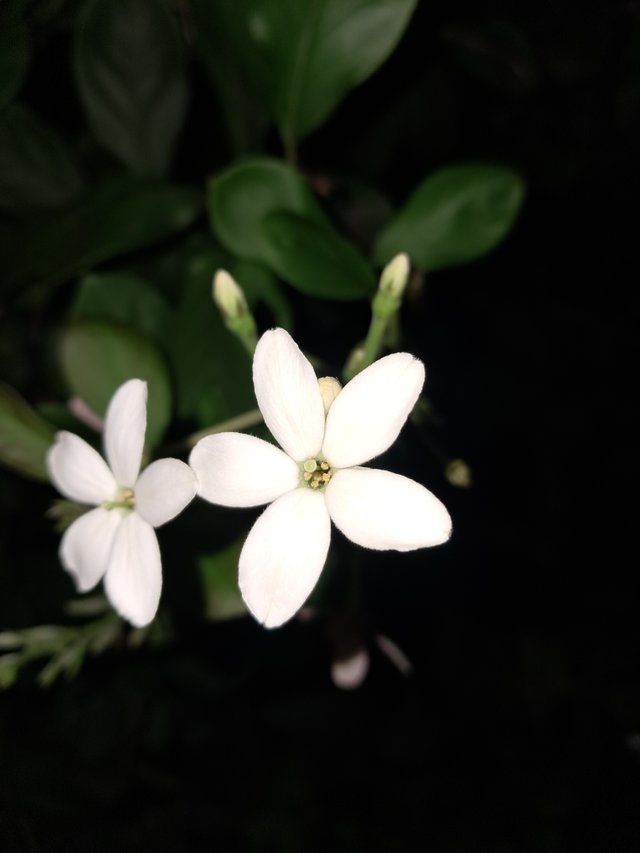 20250530_190542.jpg