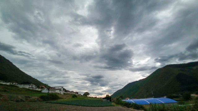 IMG_20250609_083445_214.jpg