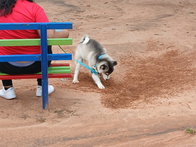 20250816_103043.jpg