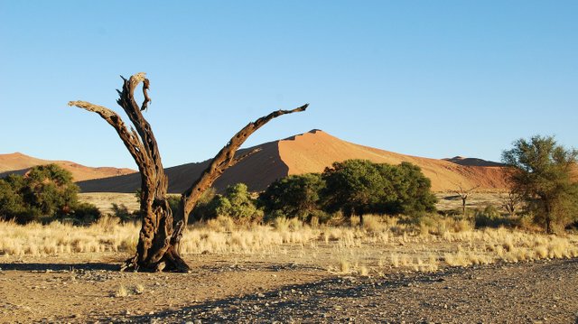 namibia.jpg