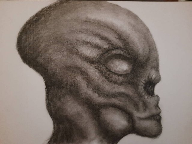20250618_111134.jpg