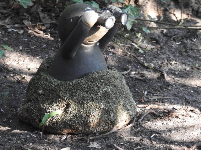 DSCN1217.JPG