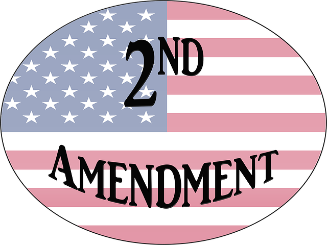 guns second amendment.png