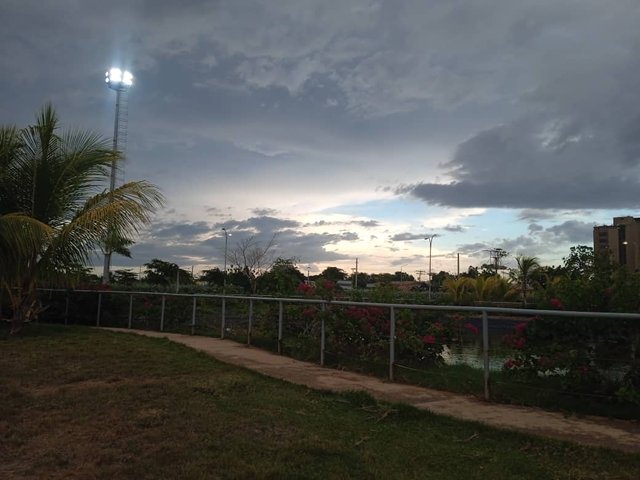 IMG-20250819-WA0005.jpg